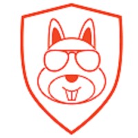 Secret Squirrel Consulting logo - Similar company to Career Confidence Us