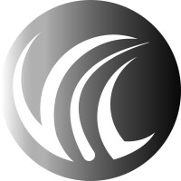 Vitta Capelli Transplante logo - Similar company to Atma Proteção