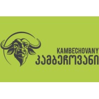 Kambechovany • კამბეჩოვანი logo - Similar company to Favorite • ფავორიტი