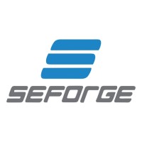 SEFORGE LTD INDIA logo - Similar company to Act Agrochem Pvt Ltd.