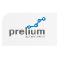 Prelium Investment Services logo - Similar company to Vigor Financial
