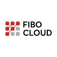 Fibo Cloud logo - Similar company to Tech Partners