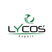 Lycos Export logo - Similar company to Ceramic Impex