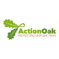 Action Oak logo - Similar company to Treesplease