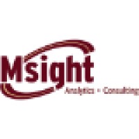 Msight Analytics, LLC logo - Similar company to Waypoint Technology Solutions