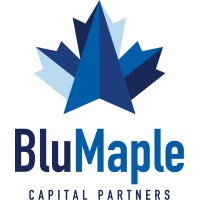 BluMaple Capital Partners logo - Similar company to Venturi Tools