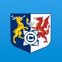 Cantonian High School logo - Similar company to Llysfaen Primary School