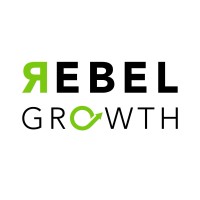 Rebel Growth logo - Similar company to Core Business Services & Advisory