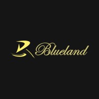 Blueland Kids logo - Similar company to Skopi Medical