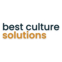 Best Culture Solutions, Inc. logo - Similar company to Holler Digital