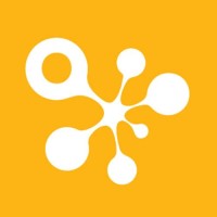 Bamboo Labs - Digital Marketing