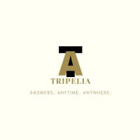 Tripelia Ltd. logo - Similar company to Raasmotion