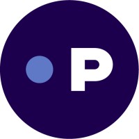 Paddls logo - Similar company to Nokavision Software