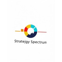 Strategic Spectrum Insights logo - Similar company to Farck S.R.L.