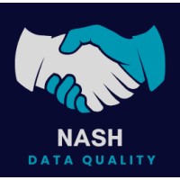 NASH DATA QUALITY logo - Similar company to Omg Ai