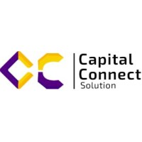 Capital Connect solution (Digital marketing company) logo - Similar company to Helping Mind