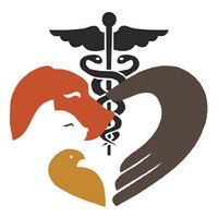 The City Vet Clinic logo - Similar company to Altaderma Clinic & Training Center