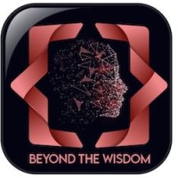 Beyond The Wisdom Inc. logo - Similar company to Techmakers