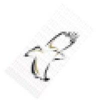 Whitewings Logistics Group, Inc.