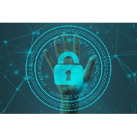 Cyberwald logo - Similar company to Bee Security