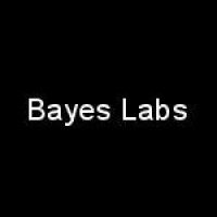 Bayes Labs logo - Similar company to Boltzmann Labs