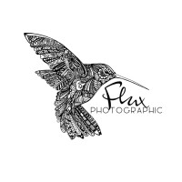 FLUX PHOTOGRAPHIC LTD logo - Similar company to Svh Inc. Cic
