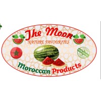 The Moon logo - Similar company to Monkey First