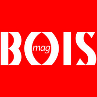 BOISmag logo - Similar company to Joint Dual