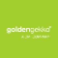 Golden Gekko