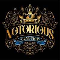 Notorious Genetics logo - Similar company to Upside