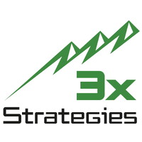 3x Strategies logo - Similar company to Canopy Advisory Group