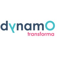 dynamO logo - Similar company to Laspipol
