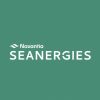 Navantia Seanergies logo - Similar company to Windar Renovables