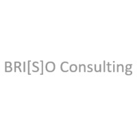 BRIZO Consulting GmbH logo - Similar company to Nextnet Gmbh
