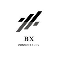 BX Consultancy logo - Similar company to Singing Grass Communications