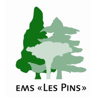 EMS LES PINS logo - Similar company to Security Risk
