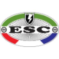 Electric Scooter Company