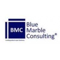 BMC Group Afghanistan logo - Similar company to Blue Marble Consulting Inc