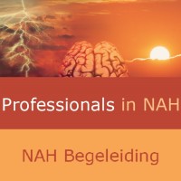Professionals in NAH bv logo - Similar company to Hersenz