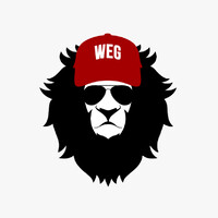 Wright Entertainment Group logo - Similar company to Life Learning Academia