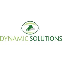 Dynamic Solutions Romania logo - Similar company to Stamel