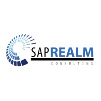 SAP Realm Consulting logo - Similar company to Acuity Search The Sap Experts