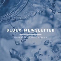 BlueX News logo - Similar company to Teal Maker