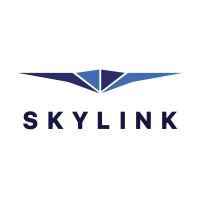Skylink logo - Similar company to Project Kick Ass