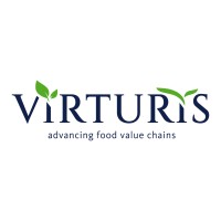 Virturis GmbH logo - Similar company to Power Lighting Connection