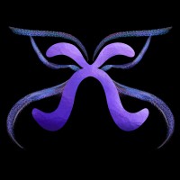 xCollective logo - Similar company to Holocim Project