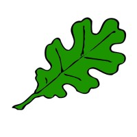 WhiteOak Solutions, LLC logo - Similar company to White Oak Technologies, Inc.