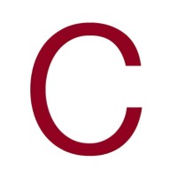 Connexions Ltd logo - Similar company to Amplicamai