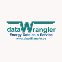 DataWrangler by CLOCworks logo - Similar company to Flookup Data Wrangler