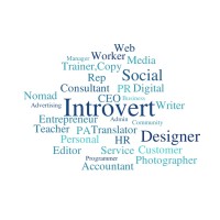 The Career Introvert logo - Similar company to William Arruda - Motivational Speaker